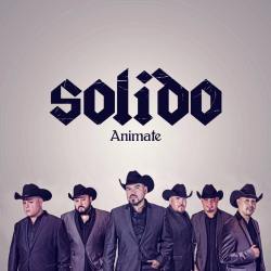 solido-animate
