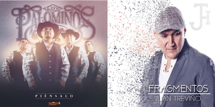 palominos-jtrevino-featured